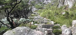 Table Mountain Guided Hikes