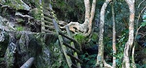 2 Spectacular Skeleton Gorge Hiking Trails
