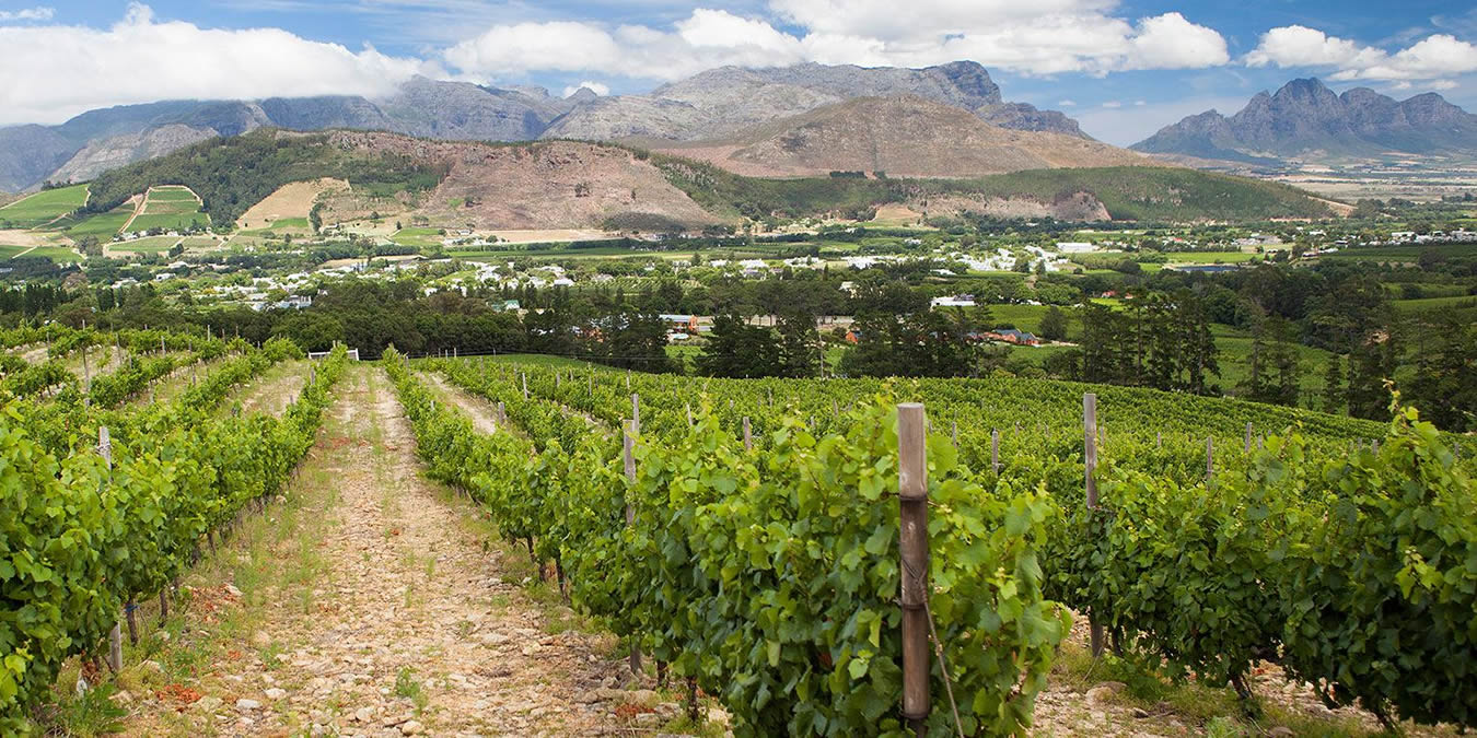 Wine Tasting Tours Cape Town