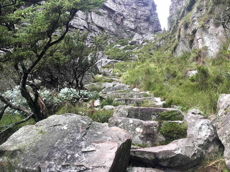 Guided Table Mountain Hike (3-4 hours) 82-10541-14