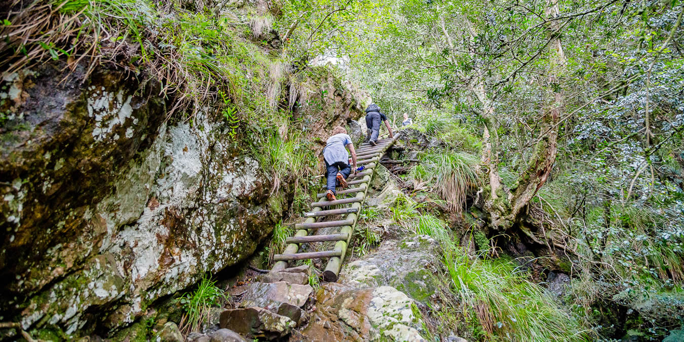 Skeleton Gorge Table Mountain Hike